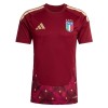 Golmanski Nogometni Dresovi Italija Domaći Svjetsko Prvenstvo 2026 Crvena Golmanski Nogometni Dresovi Italija Domaći Svjetsko Prvenstvo 2026 Crvena