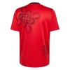 Nogometni Dresovi Manchester United Cultural Story 2025-26