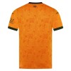 Dječji - Dresovi Komplet Wolves FC Domaći 2026-27