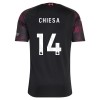 Dječji - Dresovi Komplet Liverpool Chiesa 14 Treći 2026-27